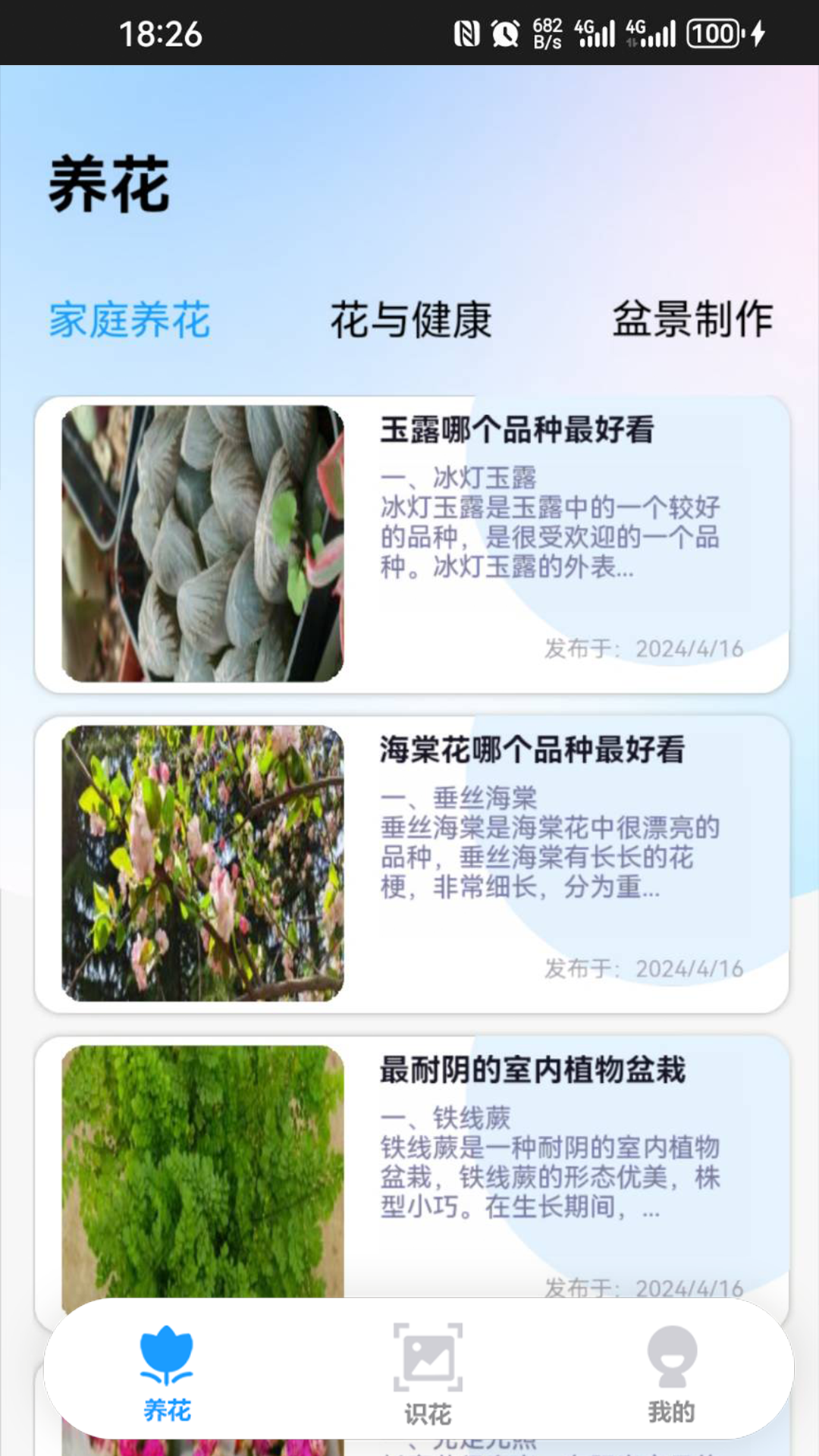 点点花园
