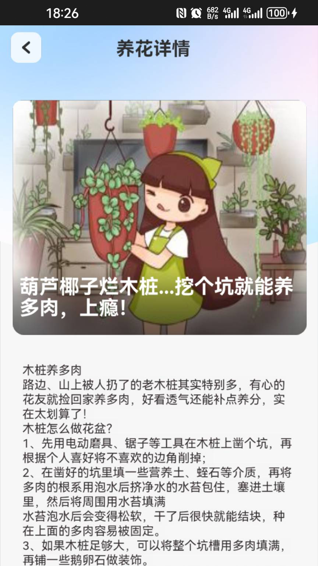 点点花园