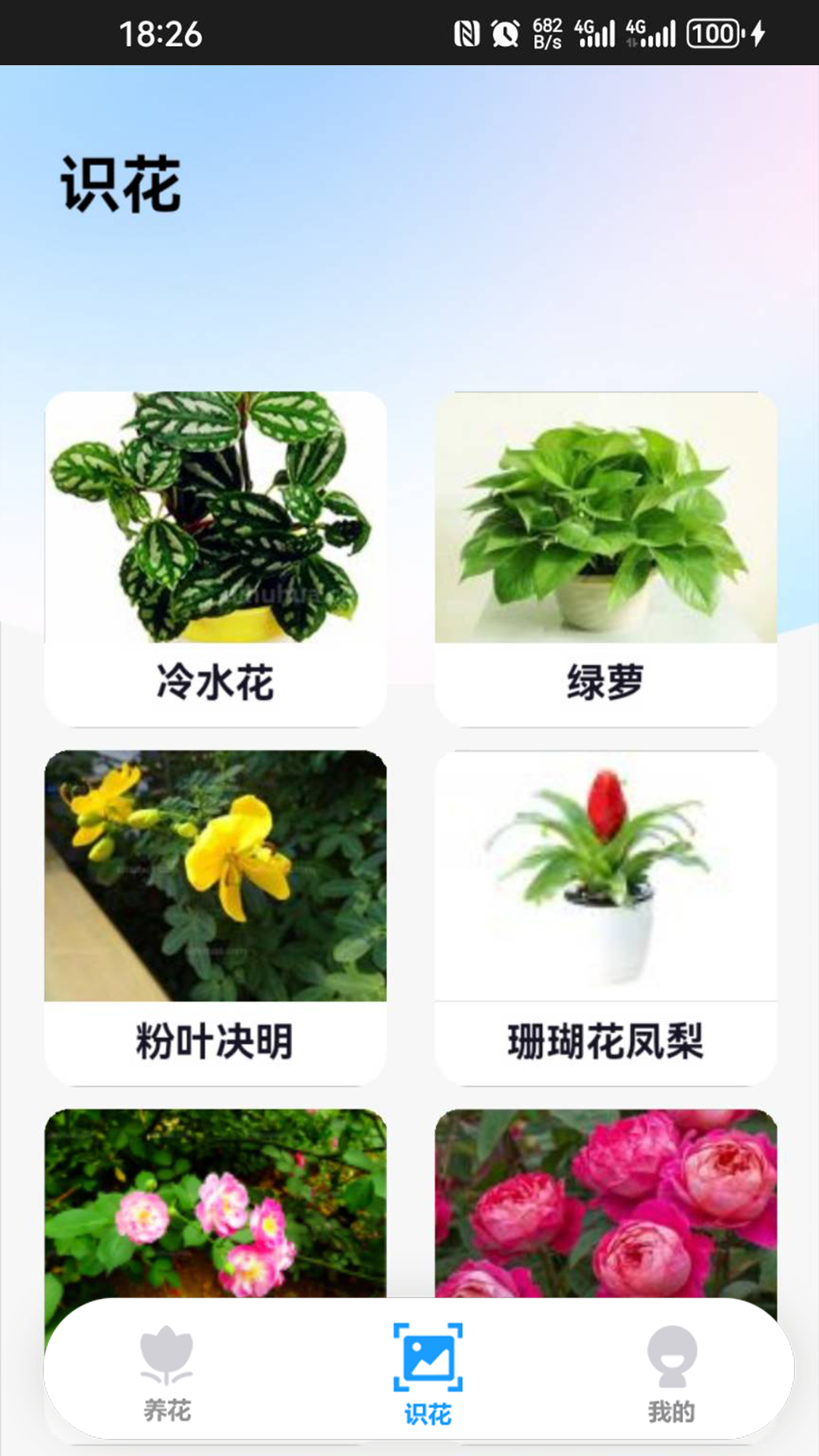 点点花园