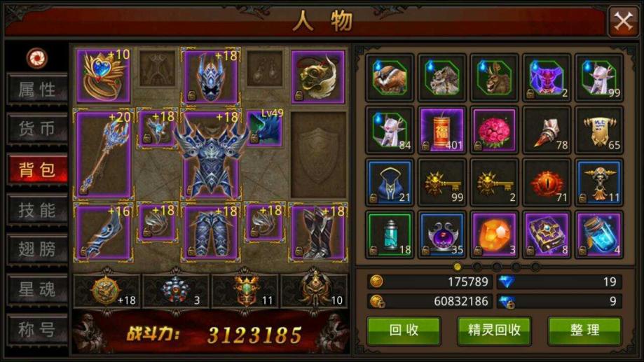 全民奇迹侍女学什么