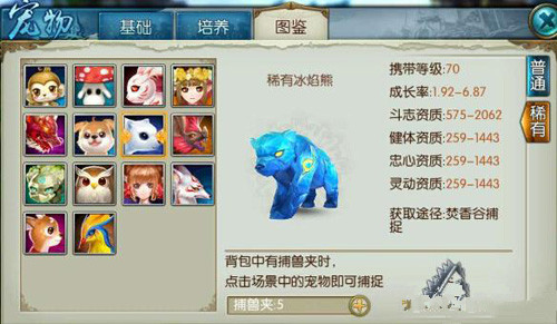 诛仙手游70宠物冰焰熊咋加点