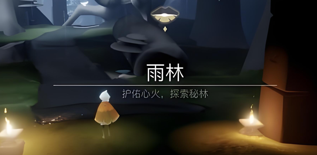 光遇为什么雨林的雨会掉能量