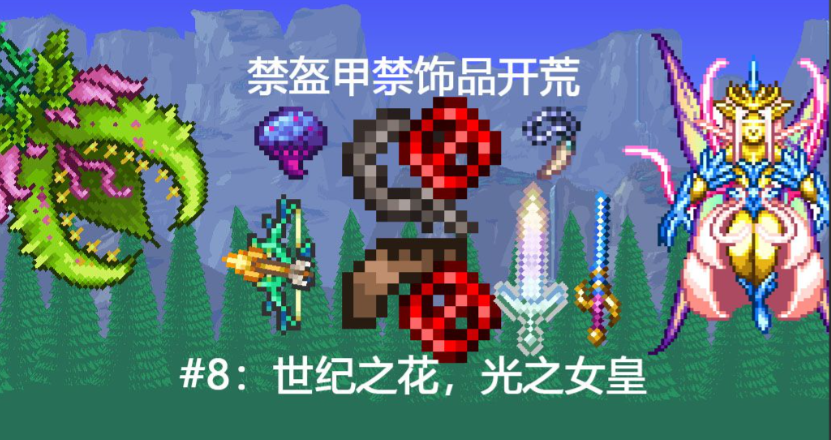 泰拉瑞亚禁装是什么