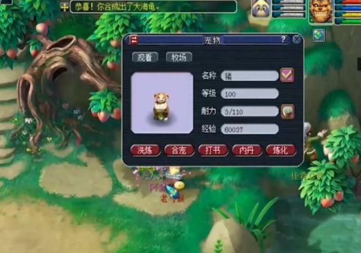 梦幻西游合宠如何提高资质