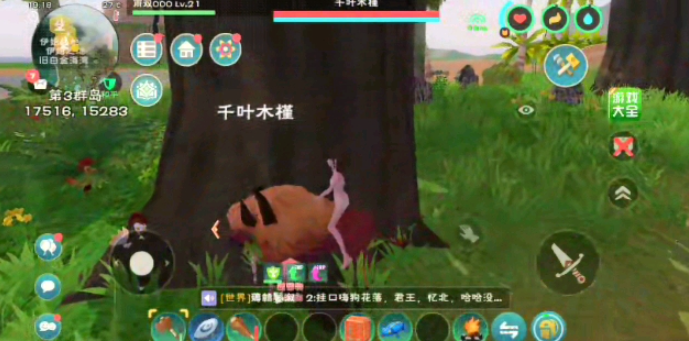 创造与魔法怎么摘树叶