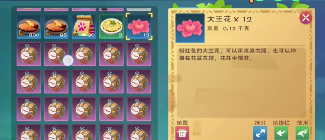 创造与魔法大王花在哪