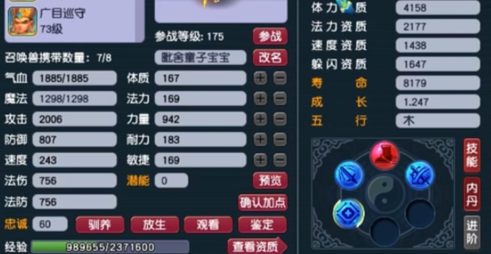 梦幻西游连善宝宝用什么套子