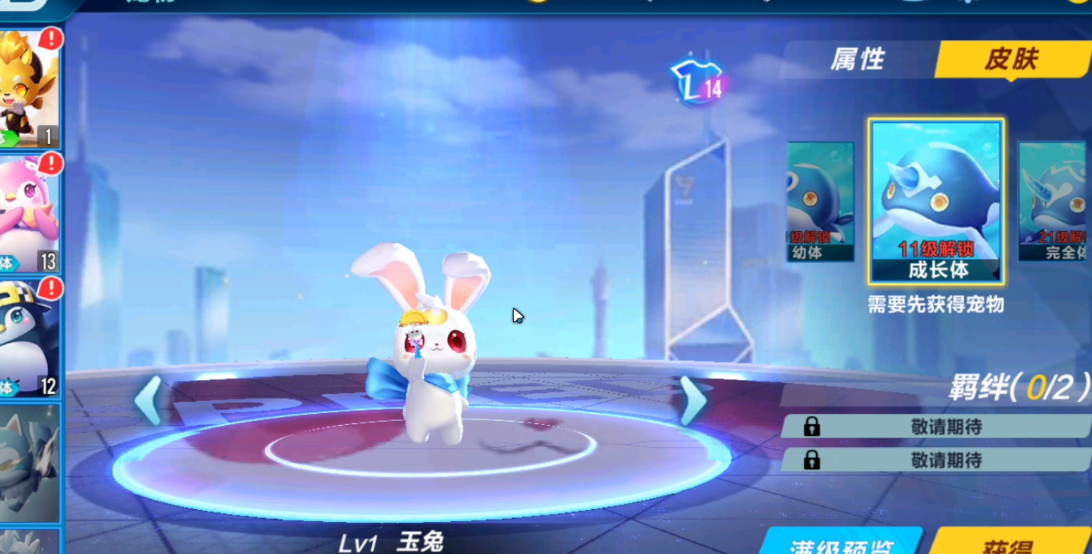 qq飞车手游许愿哪个宠物好