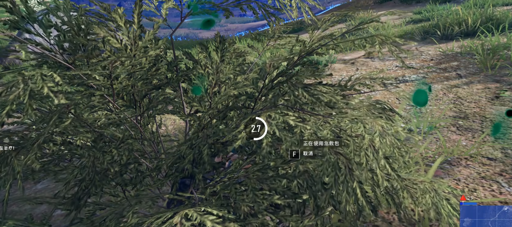 绝地求生最后怎么拼毒