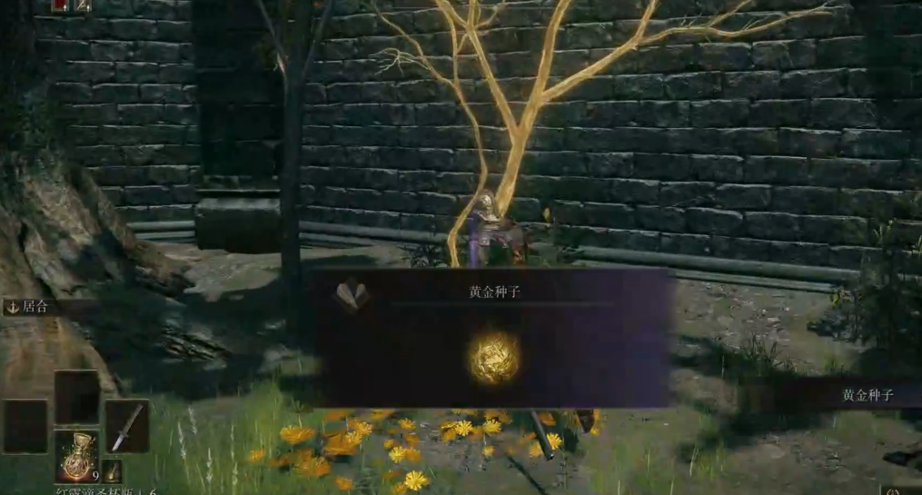 艾尔登法环新手路线怎么走