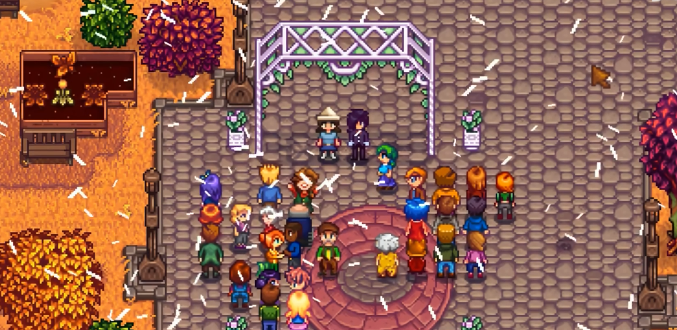 星露谷物语第九颗心怎么解锁 星露谷物语第九颗心怎么解锁