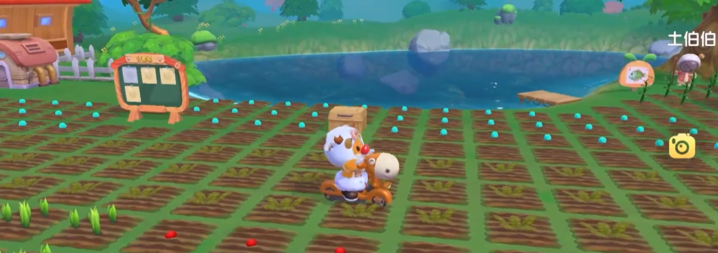 摩尔庄园领取的房子怎么装扮