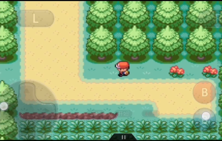 口袋妖怪火红妙蛙种子在哪里