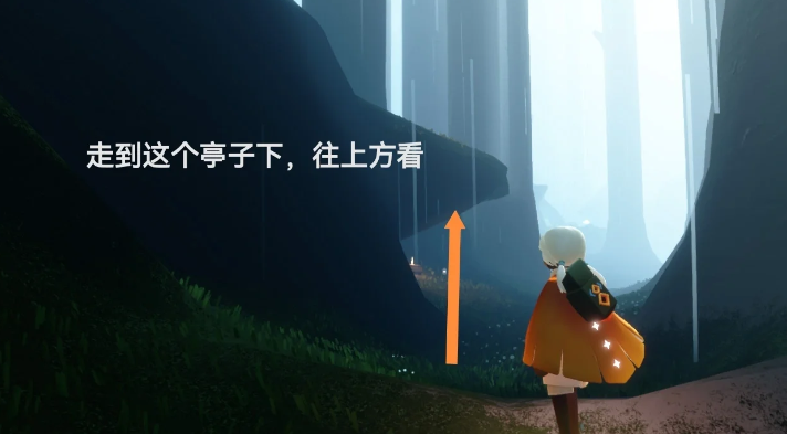 光遇雨林怎么去