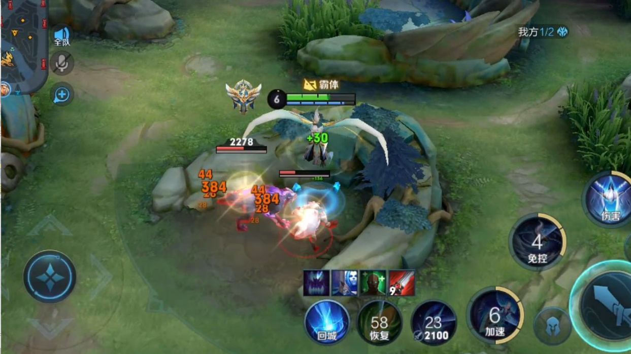 王者荣耀云中君打野怎么出装