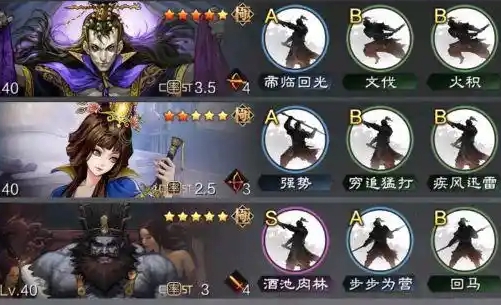 率土之滨汉司马懿配什么队伍好