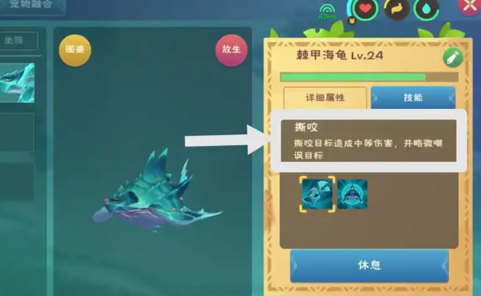 创造与魔法海龟饲料怎么做