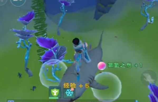 创造与魔法泡泡怎么用