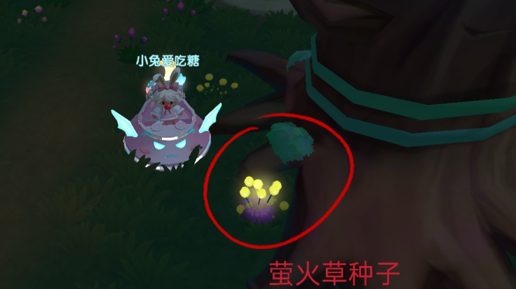 摩尔庄园怎么收萤火草