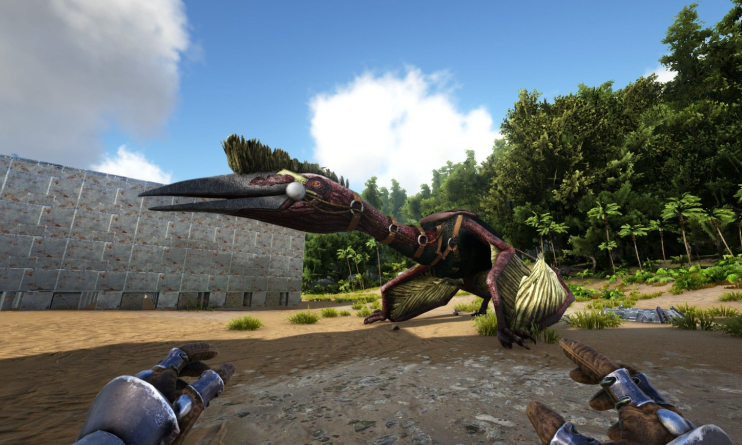 方舟生存进化新手怎么抓翼龙