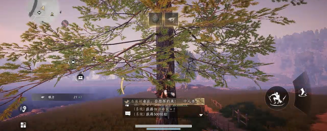 燕云十六声蜂窝怎么取