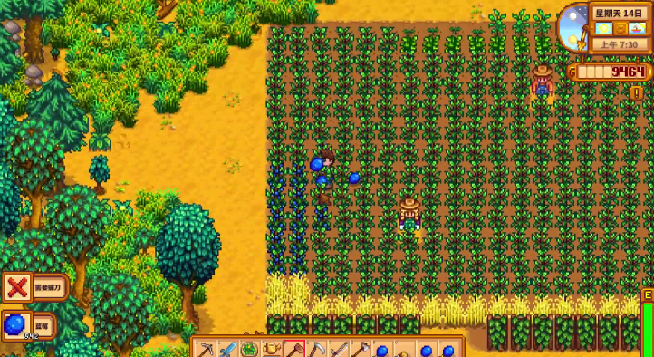 星露谷物语第一个夏天种什么