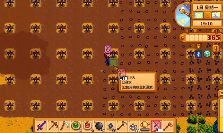 星露谷物语第一个夏天种什么