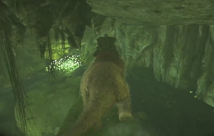 方舟生存进化孤岛什么龙厉害