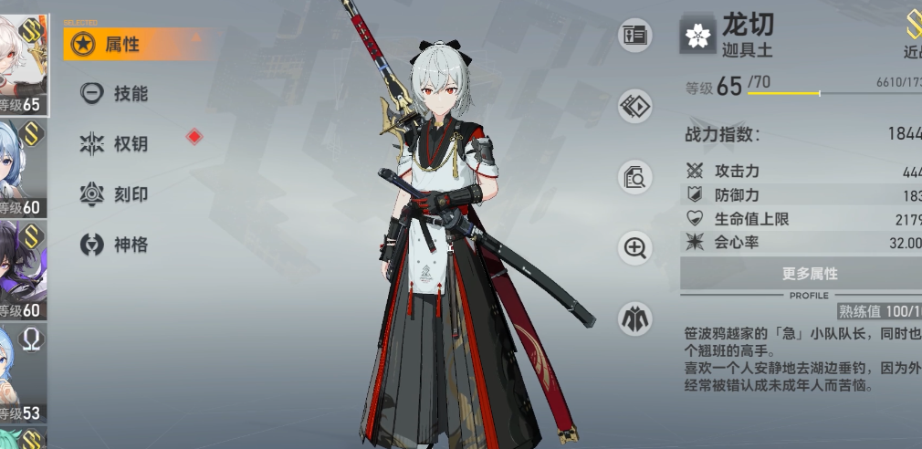 深空之眼冰渊配什么阵容